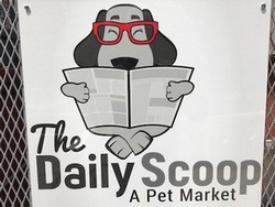 The Daily Scoop